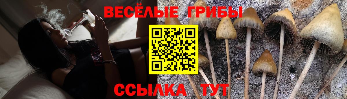 Липецк  Псилоцибиновые грибы MAGIC MUSHROOMS  Вход с VPN 