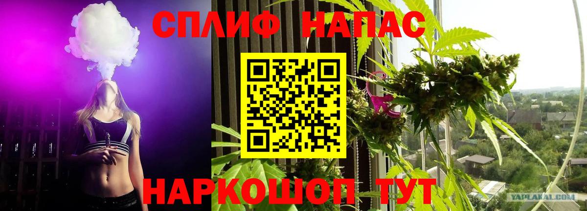 Марихуана SATIVA & INDICA Липецк
